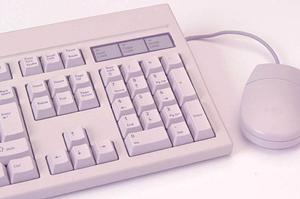 コンサルティング費用と事務所の概要の話